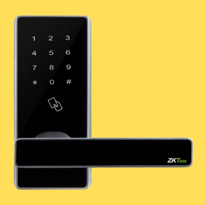 ZKTeco DL30B and DL30DB Smart Locks