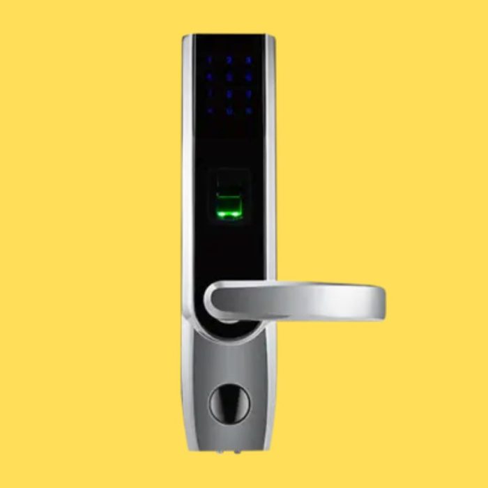 ZKTeco TL-400B Smart Door Lock